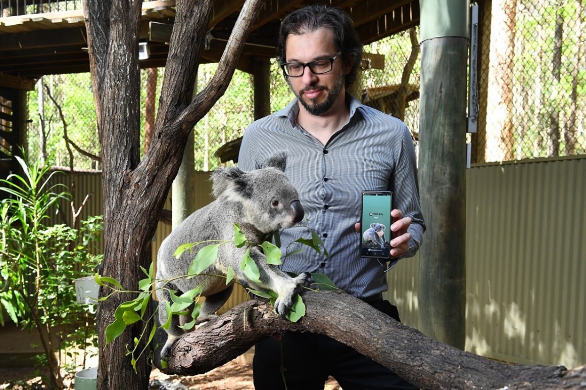 Man and koala